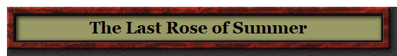 The Last Rose of Summer